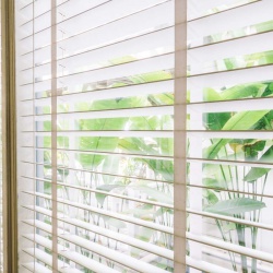 Blinds & Screens